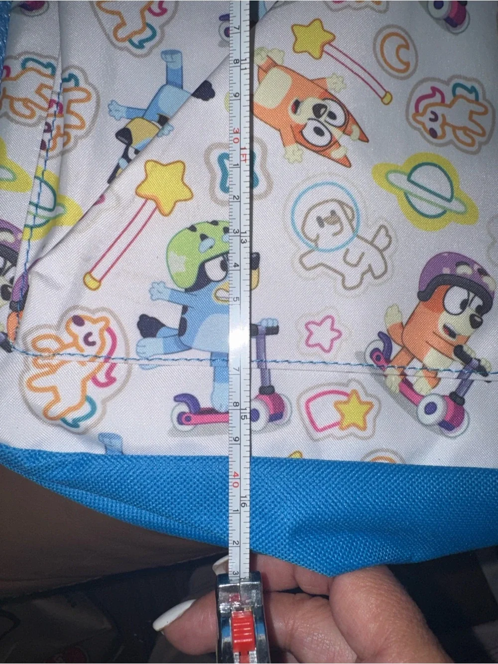 Bluey official kids